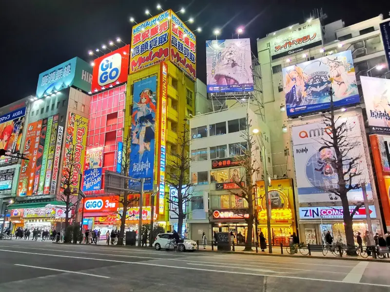 akiba_night | Jumbo taxis and wagons that can take 5 to 9 people for transfers from Tokyo and Saitama to all over Japan and airport transfers.