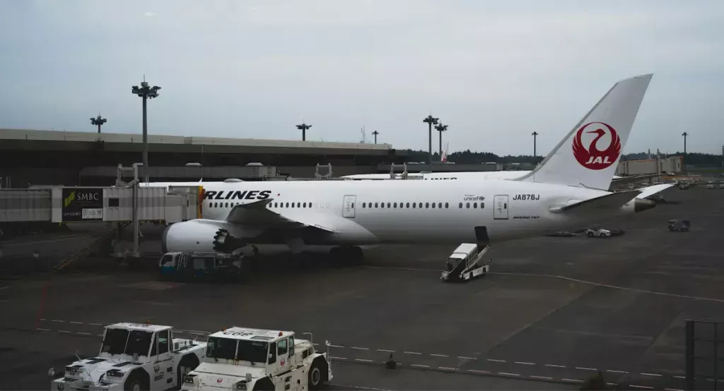 成田機場 | 從東京和埼玉到日本各地和機場的五人或五人以上的巨型計程車和貨車。