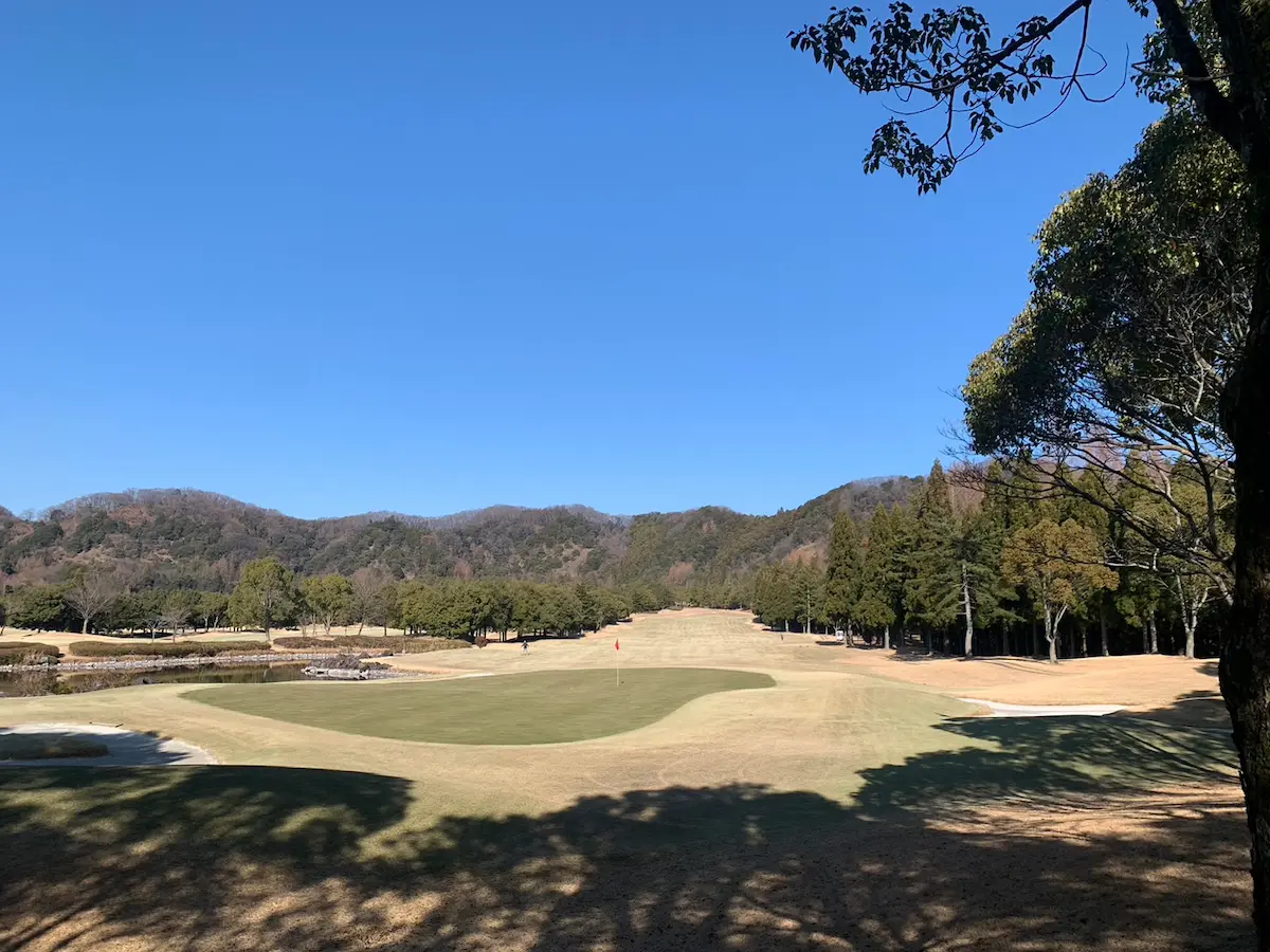 用于接送高尔夫球手往返陶利乡村俱乐部的巨型马车出租车。