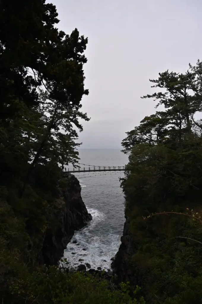 城ヶ崎海岸1｜1名様から5名様以上、9名様まで乗れるジャンボタクシー・ワゴンタクシーで東京・埼玉から日本全国や空港まで