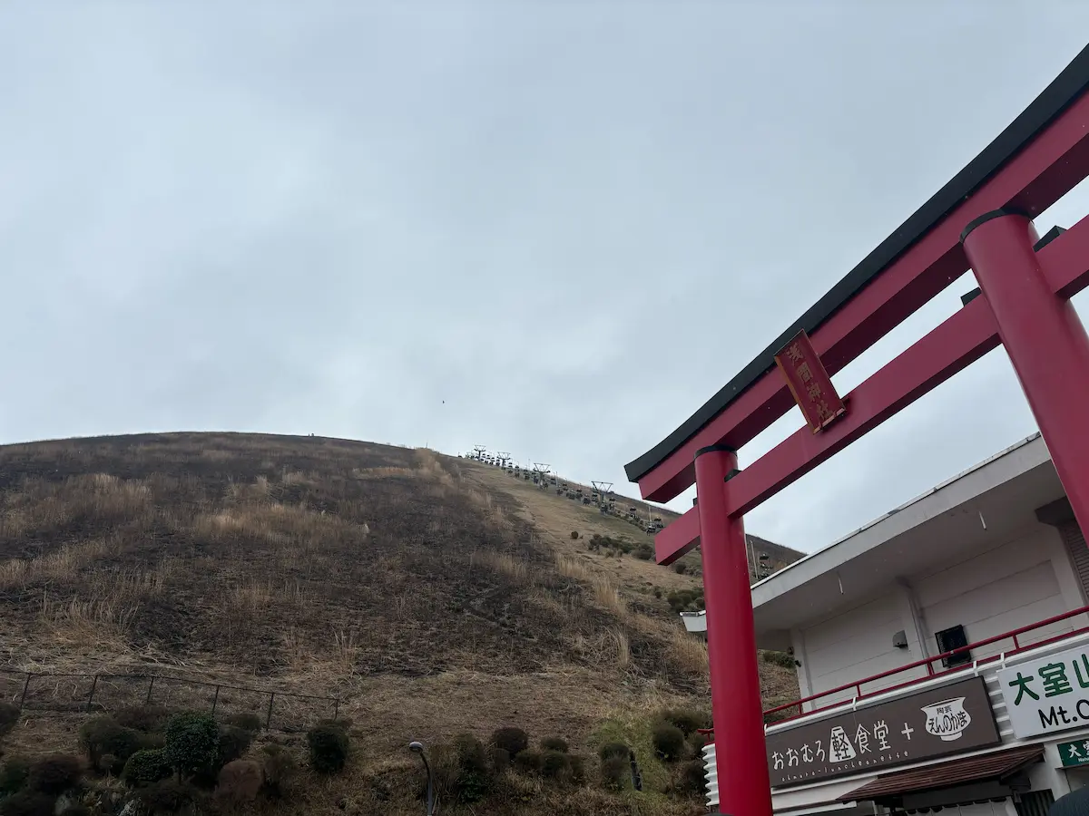 春日部から伊東温泉への社員旅行を楽しむ