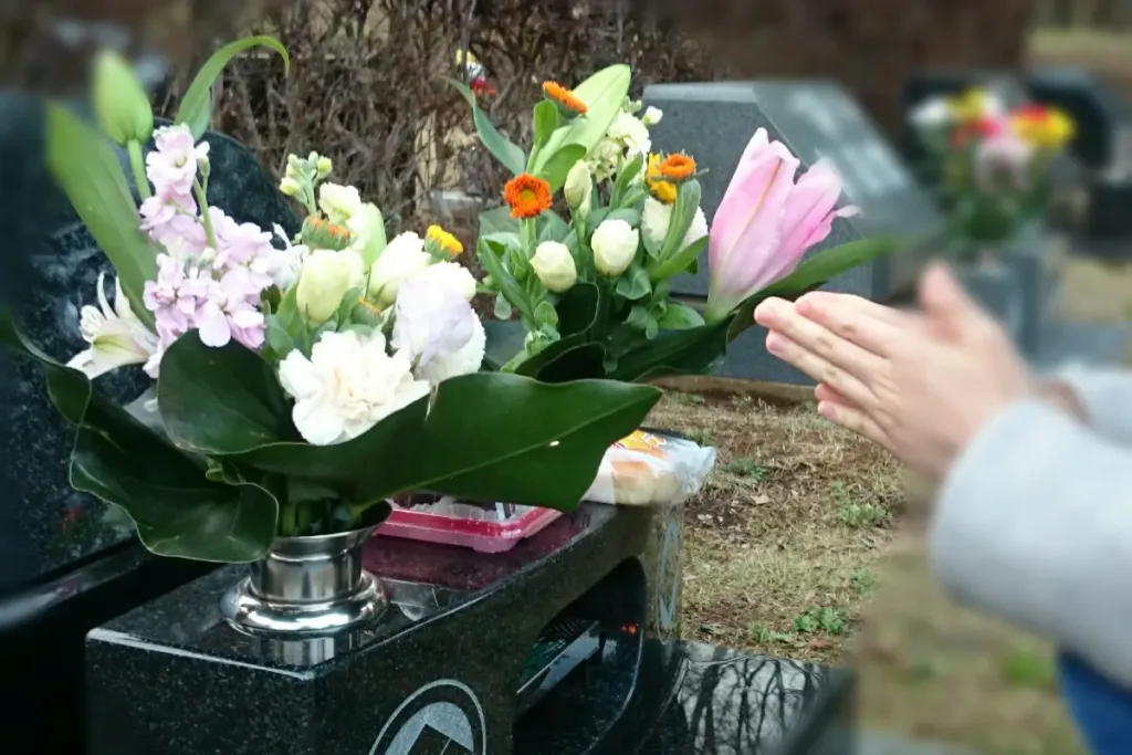 The far side of spring2 | Jumbo and wagon taxis for 1, 5 or more people and up to 9 passengers from Tokyo and Saitama to all parts of Japan and airports.