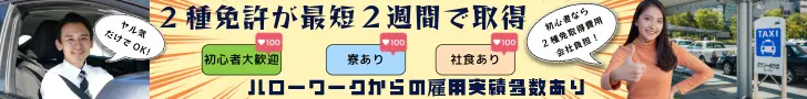 株式会社 平和観光のタクシー乗務員募集広告 | 1名から5名以上、9人まで乗れるジャンボタクシー・ワゴンタクシーで東京・埼玉から日本全国や空港まで