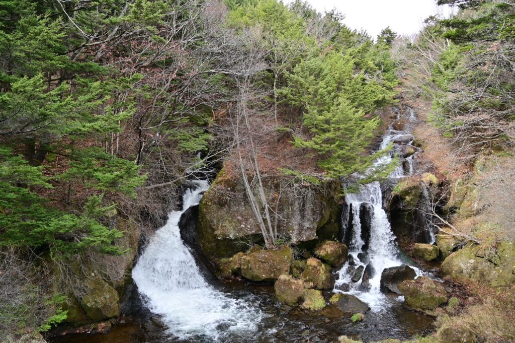 奥日光の竜頭の滝を撮影した風景。左右に分かれた滝の流れと、周囲の紅葉が美しい秋の景観。