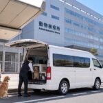 空港前でペット用クレートを積み込む白い大型ジャンボタクシー(トヨタ・ハイエース)